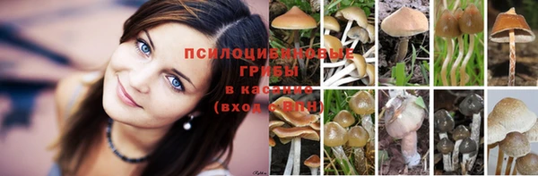 кристаллы Алексеевка