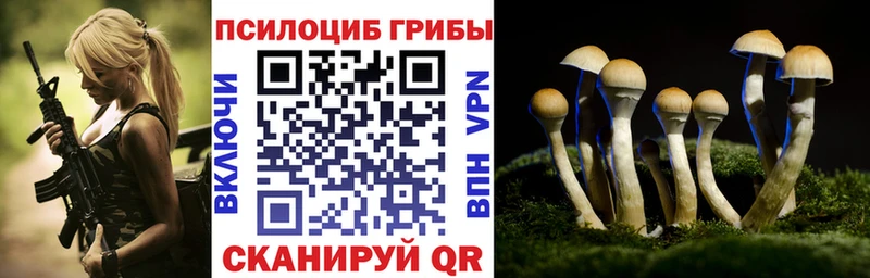 Псилоцибиновые грибы MAGIC MUSHROOMS  KRAKEN ссылки  Чадан  дарнет шоп 