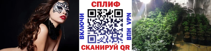 Канабис тримм  магазин продажи наркотиков  Чадан 
